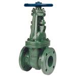 F-637-33 Class 150, Ductile Iron, Stainless Steel Trim, Flanged
