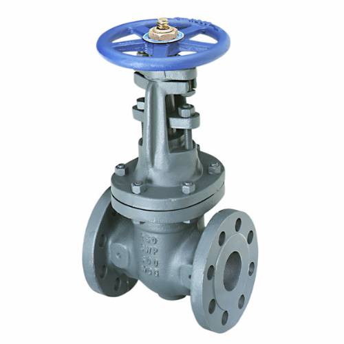 F-667-O Gate Valve, Class 250, Cast Iron, Outside Screw and Yoke, Flanged