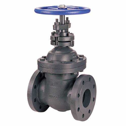 F-669 Gate Valve, Class 250, Cast Iron, Non-rising Stem, Flanged