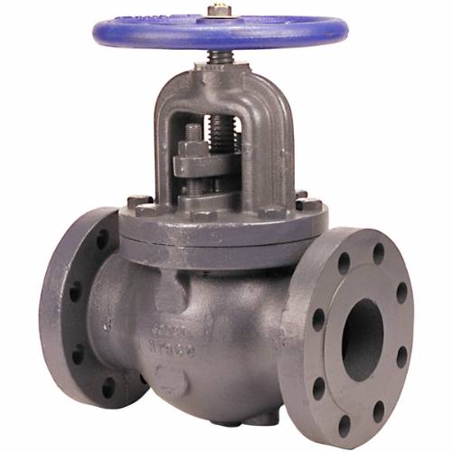 F-768-B Globe Valve, Class 250, Iron, Flanged