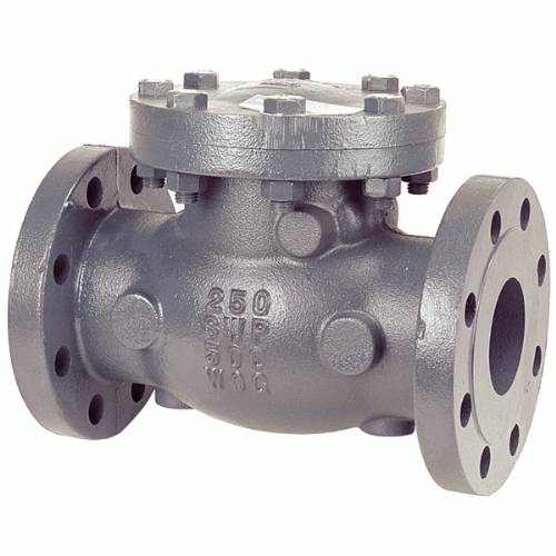 F-968-B Cast Iron, Class 250, Check Valve, Swing, Flanged