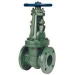 F-617-13-XL Gate Valve, Class 125, Nickel Iron, Stainless Steel Trim, Flanged, Large Diameter