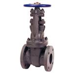 F-617-OGPG Gate Valve, Class 125, Cast Iron, w/Graphite PK & GSK