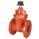 F-619-RW-SON Iron, Wedge, RW Gate Valve, Square Operating Nut