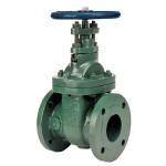 F-639-31 Gate Valve, Class 150, BB, NRS, SW, Bronze Trim