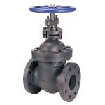 F-669 Gate Valve, Class 250, Cast Iron, Non-rising Stem, Flanged