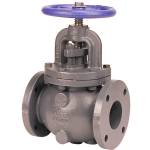 F-718-B Globe Valve, Class 125, Iron Body Globe Valve, Flanged