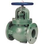 F-738-31 Globe Valve, Ductile Iron, Class 150, Bronze Trim