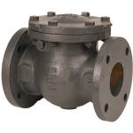 F-918-N Cast Iron, Class 125, Check Valve, Swing, Iron Trimmed, Flanged