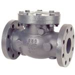 F-968-B Cast Iron, Class 250, Check Valve, Swing, Flanged