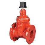 FM-619-RW-SON Iron, Wedge, RW Gate Valve, Square Operating Nut