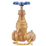 T-113-HC Gate Valve- Bronze, Thread Hose Thread