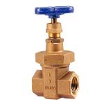 T-176A Gate Valve Bronze,Non-rising Stem, Allow Wedge