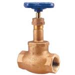 T-211-B Globe Valve Brnz, Class 125, Brnz Trim, Threaded Ends