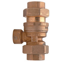 760 1/2" Dual Check Valve